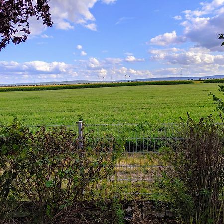 Grosse Schoenheit Mit Panoramablick بالسور المظهر الخارجي الصورة
